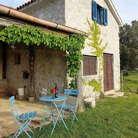 Guest house Tiny House With A View