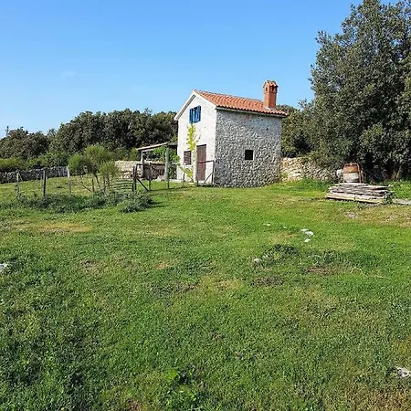 Affittacamere Tiny House With A View