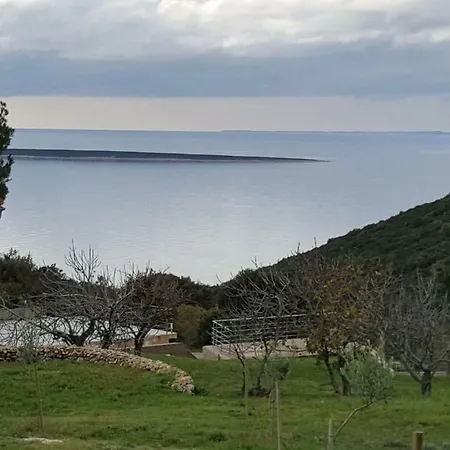 Tiny House With A View Affittacamere *